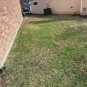 Leaf Removal by Escobar Landscaping reviewed on June 9, 2022