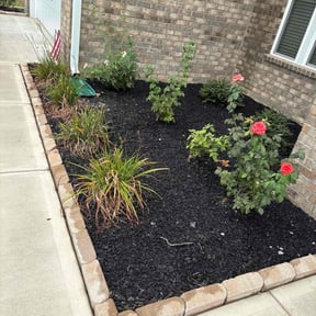 Cleanups by TruGreen LawnCare reviewed on October 25, 2024