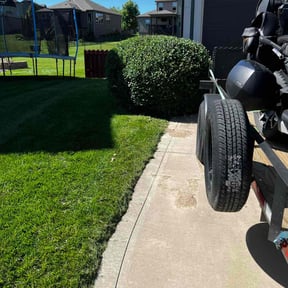 Bush Trimming by DNP clean yard service reviewed on June 16, 2022