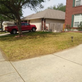 Leaf Removal by AJ's X-terior WorkZ reviewed on June 14, 2025