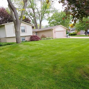 Leaf Removal by PizzaCuts reviewed on May 15, 2025