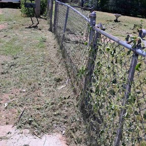 Leaf Removal by Coastal Lawnworx LLC reviewed on December 21, 2021