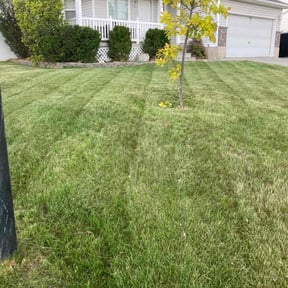 Bush Trimming by Ralph & sons property maintenance reviewed on October 30, 2021