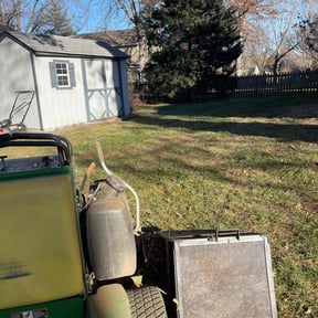 Leaf Removal by Black horse reviewed on May 29, 2022