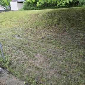 Leaf Removal by J&S lawn care and property maintenance reviewed on June 1, 2025