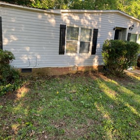 Bush Trimming by TruGreen LawnCare reviewed on June 17, 2025