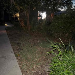Bush Trimming by Yard Worx Lawn Service reviewed on April 27, 2022