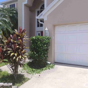 Bush Trimming by Landsk8pe Tech’s reviewed on August 27, 2024