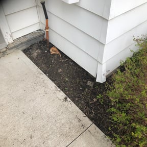 Flower Bed Weeding by American Dream Lawn and Services reviewed on April 13, 2022