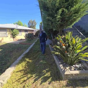Weeding by LSLTAustin/SanAntonioEmerald reviewed on July 26, 2023