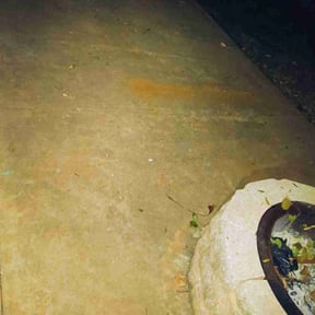 Cleanups by Skyler’s Lawn Care reviewed on June 29, 2025
