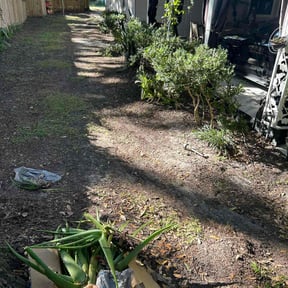 Leaf Removal by Father Daughter and Sons Lawn Care reviewed on July 14, 2022