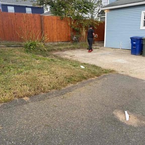 Bush Trimming by Major green lawn care services reviewed on May 20, 2022