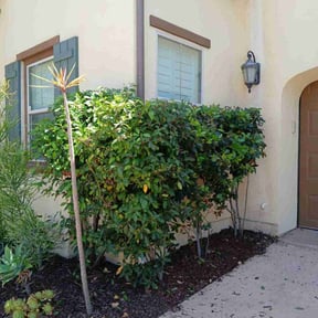 Leaf Removal by # High-Class Grass reviewed on December 23, 2023