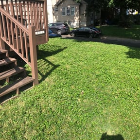 Flower Bed Weeding by Jackson way reviewed on November 9, 2021