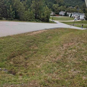 Bush Trimming by Walsh Landscape - Irrigation reviewed on June 10, 2022