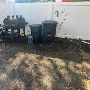 Leaf Removal by Mitchell Johnson reviewed on June 21, 2022