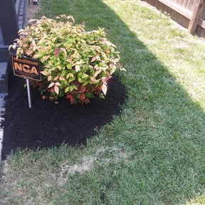 Mulching by Anton Lawn Care reviewed on May 1, 2025