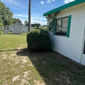 Bush Trimming by LLC reviewed on May 23, 2025