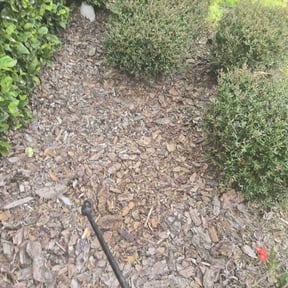 Flower Bed Weeding by Keep it mowen reviewed on June 8, 2022