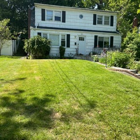 Cleanups by Luxury Finish Lawn care reviewed on June 15, 2022