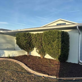 Bush Trimming by JTB Lawn care reviewed on June 6, 2022