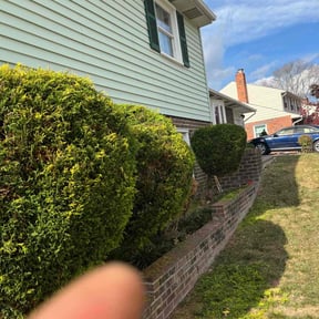 Bush Trimming by Aparicio Lawn Care reviewed on March 30, 2022