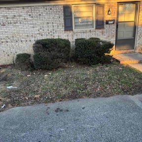 Bush Trimming by Maximum Landscaping & Lawn care reviewed on July 17, 2025