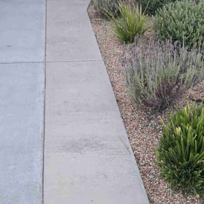 Weeding by Lo Lo's Landscaping reviewed on July 19, 2022