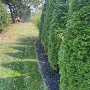 Flower Bed Weeding by El Caribe Lawn & Palms reviewed on March 31, 2022