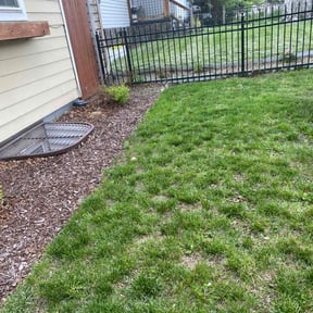 Leaf Removal by Meza Construction and Landscaping LLC reviewed on August 6, 2024
