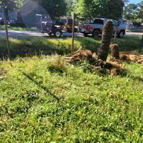 Bush Trimming by Pascoe Lawn Care reviewed on May 15, 2022