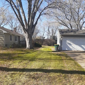 Leaf Removal by Banks Lawn Services reviewed on May 19, 2022