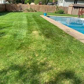 Cleanups by Dels Mow, Blow, and snow removal reviewed on July 7, 2025