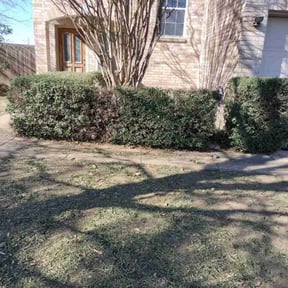 Bush Trimming by Tonys Landscaping LLC reviewed on April 29, 2022