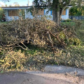 Bush Trimming by PerfectCutLawn reviewed on October 6, 2022