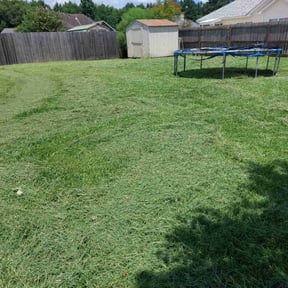 Flower Bed Weeding by Carter's Lawn Care Services reviewed on July 9, 2022