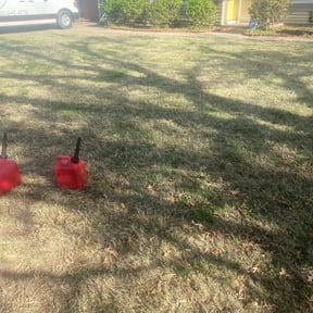 Leaf Removal by Capital Mowing reviewed on June 4, 2025