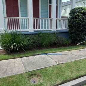 Bush Trimming by Early Risers Lawncare Service reviewed on March 15, 2025