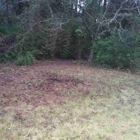 Cleanups by Shortleaf Co. reviewed on July 15, 2022