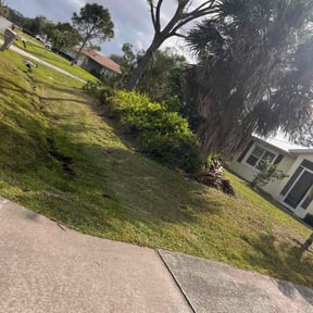 Bush Trimming by LLC reviewed on May 23, 2025