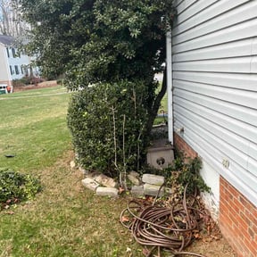 Bush Trimming by Alan's Mowing reviewed on April 27, 2022