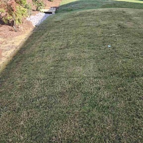 Weeding by Bo's lawn care reviewed on July 15, 2022