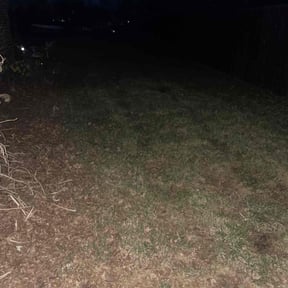 Leaf Removal by TwinEagleLandscaping reviewed on July 16, 2022