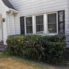 Bush Trimming by K.G.M landscaping reviewed on June 26, 2022