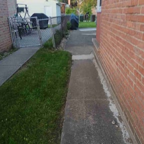 Leaf Removal by MowDeal reviewed on June 11, 2020