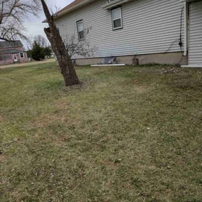 Leaf Removal by A1 Lawn Care reviewed on April 25, 2025