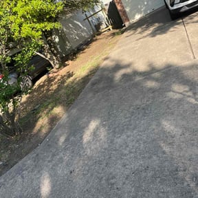 Leaf Removal by CEJLANDSCAPING reviewed on September 14, 2021
