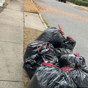 Leaf Removal by JoJo property services LLC reviewed on June 6, 2022