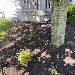 Flower Bed Weeding by Greenblade Mowing reviewed on November 27, 2024